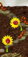 GAME Go Go Garden Defense TAGS tower, strategy, defense, tower defense, vegetables, plants, garden, ninja, ninjamerica, puzzle, creeps